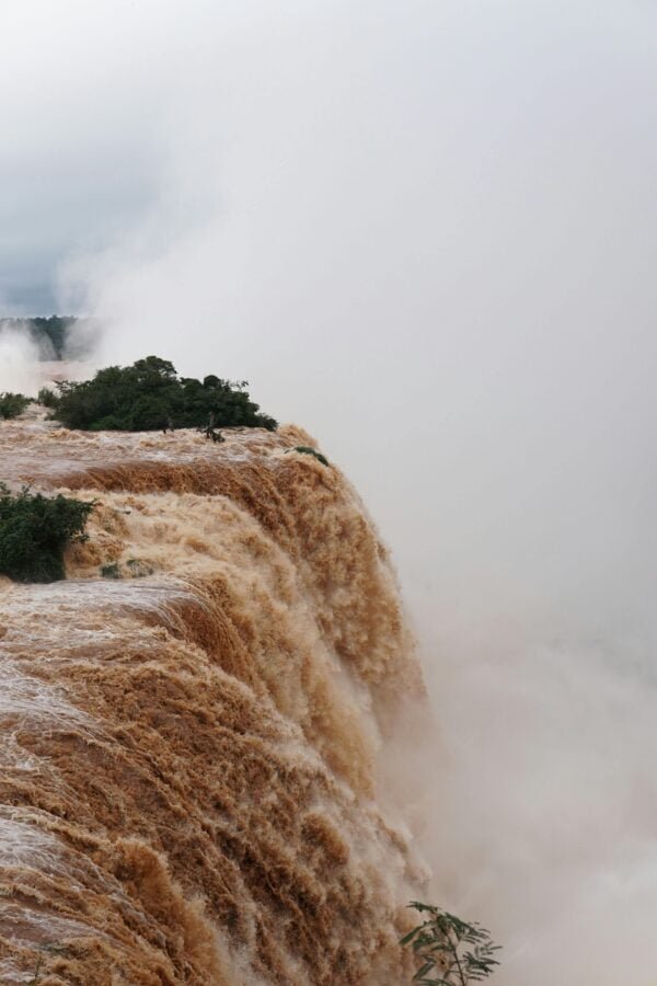 Glamping en la Selva y Cataratas del Iguazú- TODO INCLUIDO - Imagen 2