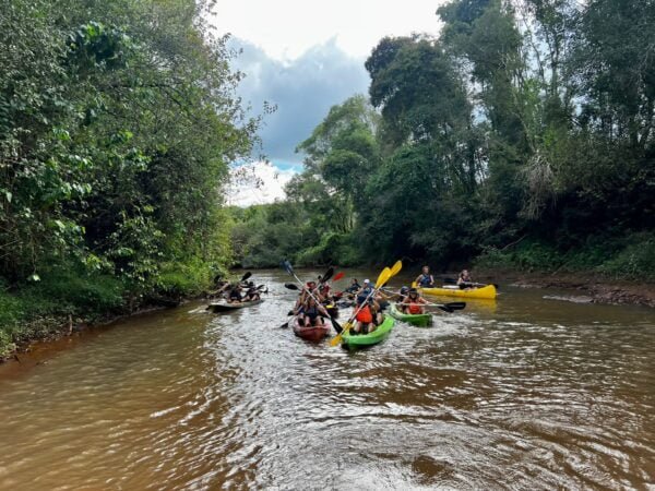 Kayaks de monte - Imagen 2