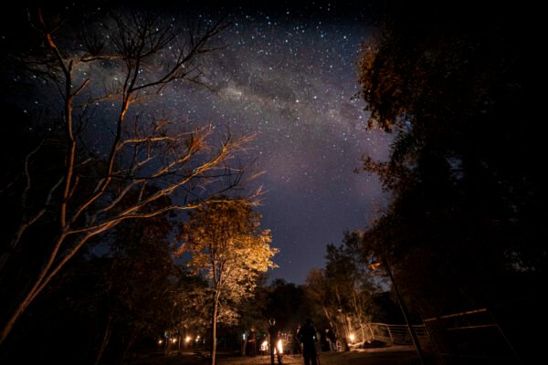 Astroturismo en la Selva Misionera - Imagen 2