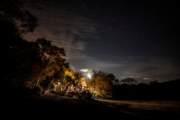Astroturismo en la Selva Misionera - Imagen 3