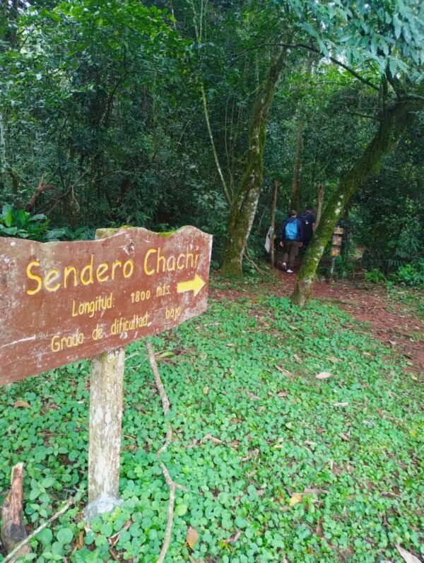 Saltos del Moconá: - Reserva de Biosfera Yabotí - Imagen 3