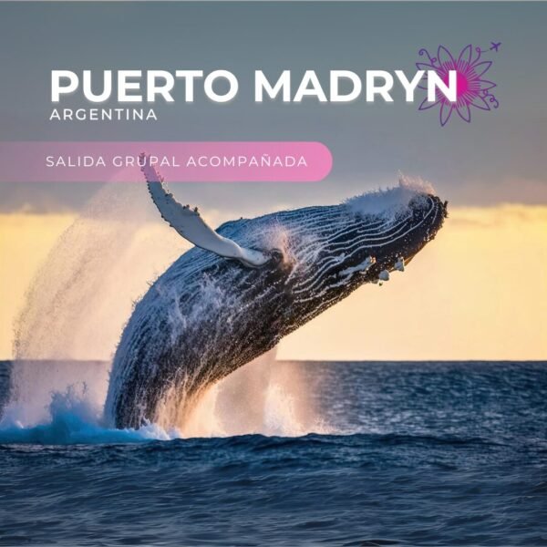 Puerto Madryn desde Posadas🐳🦭
