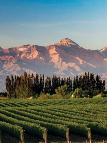 valle mendoza
