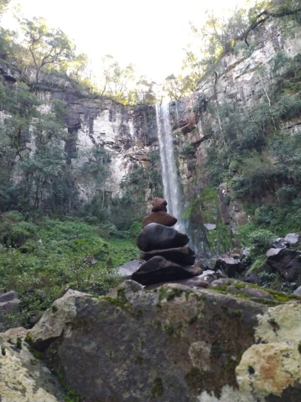 Inmersión de Selva|Trekking y cascadas con merienda – Julio 2025 - Imagen 3
