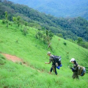 Trekking de los Saltos desde Posadas | Excursión full day julio 2025