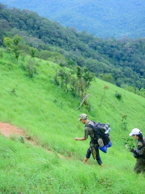 SENDERO NATURAL