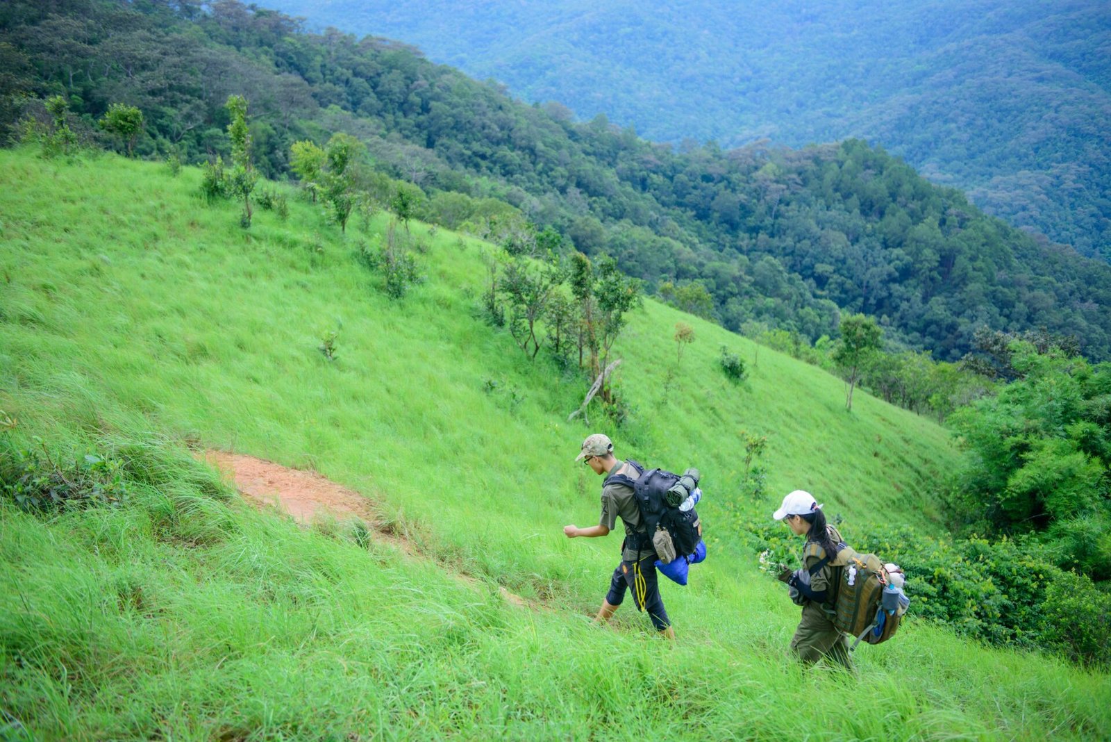 Trekking de los Saltos desde Posadas | Excursión full day julio 2025 1 Trekking de los Saltos desde Posadas | Excursión full day julio 2025