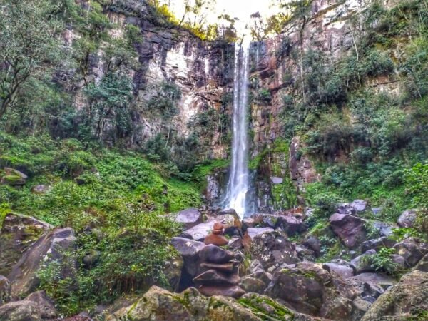 Inmersión de Selva|Trekking y cascadas con merienda – Julio 2025 - Imagen 2