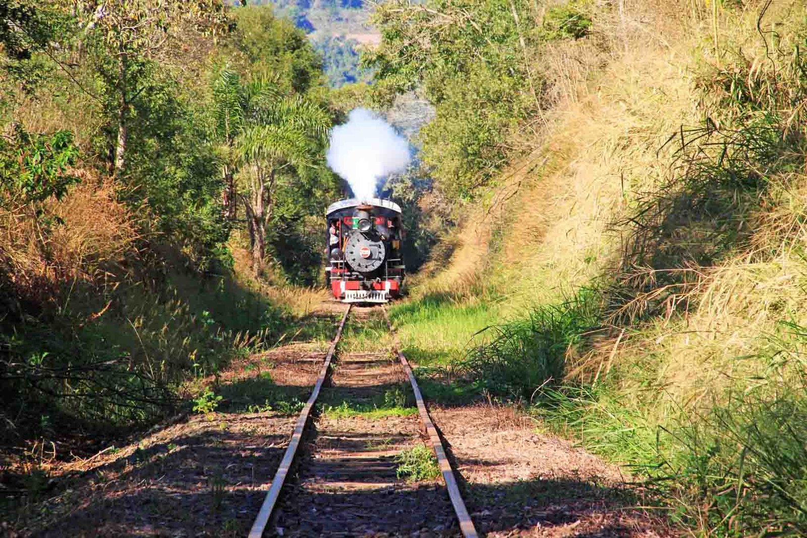 Viaje a Piratuba desde Posadas | 5 noches pensión completa y termas - Octubre 2025 7 Viaje a Piratuba desde Posadas | 5 noches pensión completa y termas - Octubre 2025 - Imagen 7