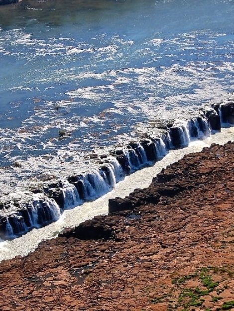 SaltoMocona.passiflora