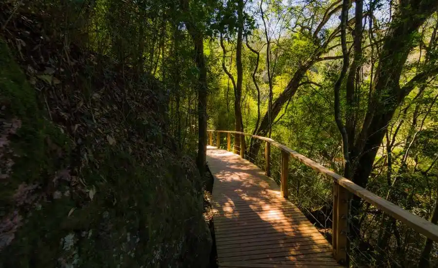 Minas de Wanda y Salto Encantado desde Posadas – Excursión Privada Full Day 7 Minas de Wanda y Salto Encantado desde Posadas – Excursión Privada Full Day - Imagen 7