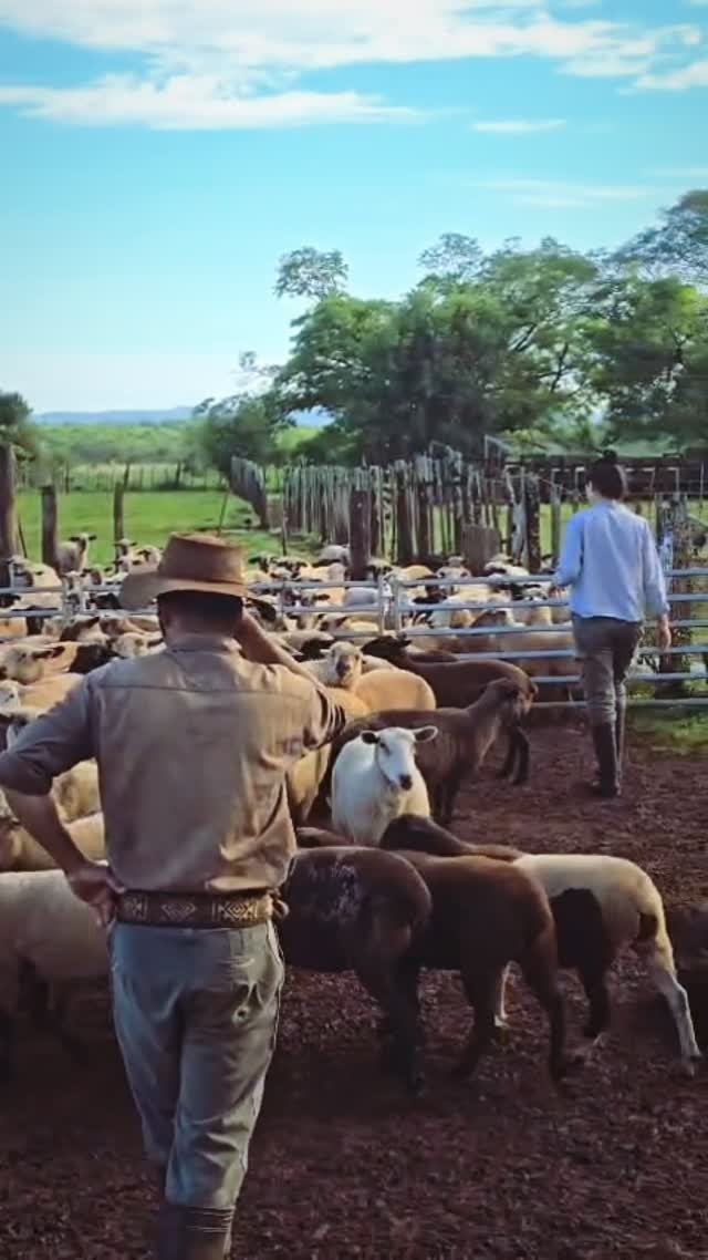 Ruta de Sabores y Orígenes | Circuito Gastronómico en el Sur de Misiones —desde Posadas 3 Ruta de Sabores y Orígenes | Circuito Gastronómico en el Sur de Misiones —desde Posadas - Imagen 3
